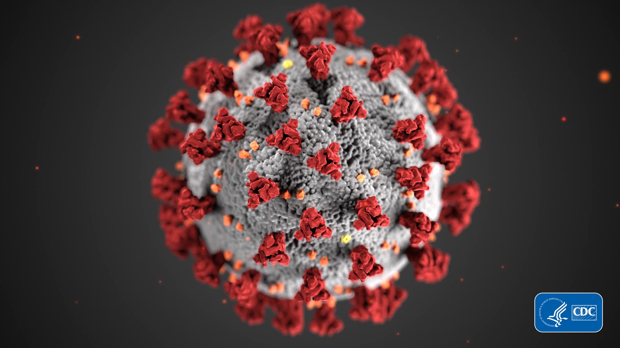 El Coronavirus desde un enfoque epidemiológico