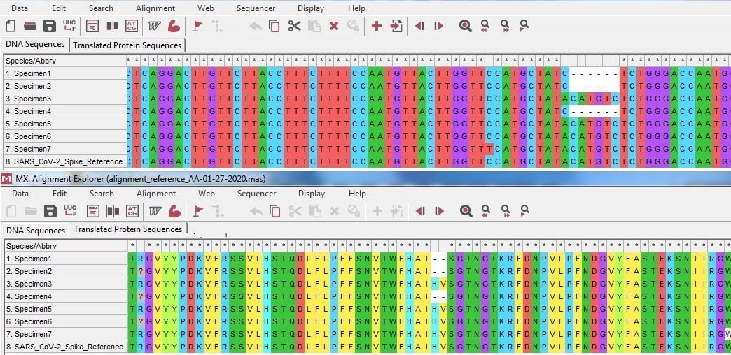 Científicos de Ponce Health Sciences University identifican  variante del COVID-19 en Puerto Rico Scientists at Ponce Health Sciences University identify new COVID-19 variant in Puerto Rico